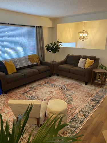 Customer photo review of Distressed Vintage Cezanne Terracotta Sky Area Rug