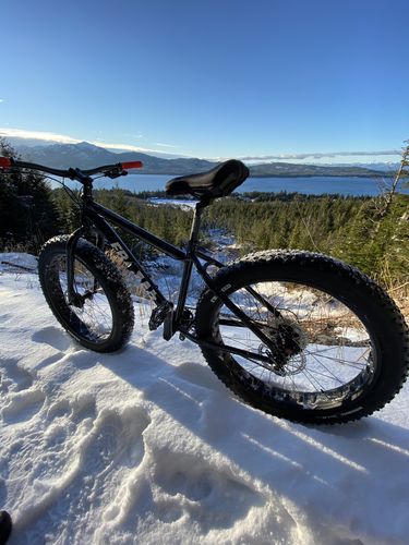Customer photo review of Minnesota - Fat 26"