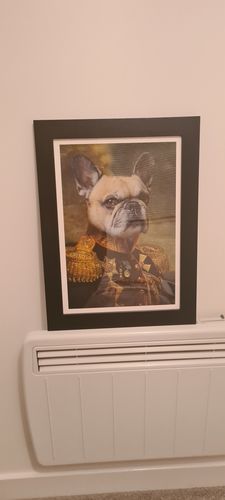 Customer photo review of The General - Custom Vintage Pet Portrait