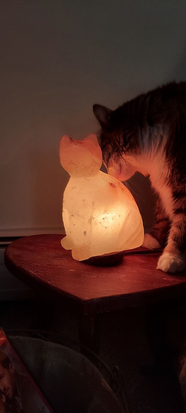 Customer photo review of Purrfect Cat Himalayan Salt Lamp