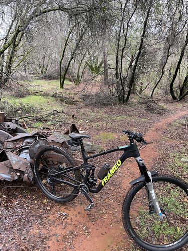 Customer photo review of Foothill Carbon - Mountain 29"