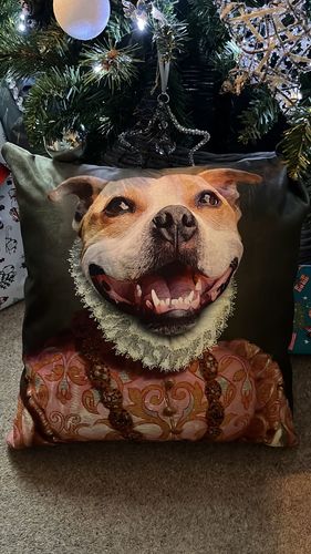 Customer photo review of The Duchess - Custom Pet Cushion