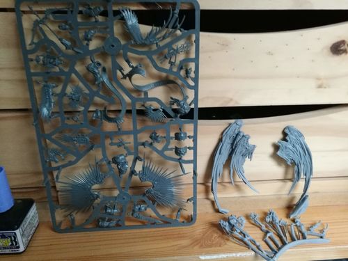 Customer photo review of Zaphiriel, Ascended Resurrectrix (Sisters- SF)