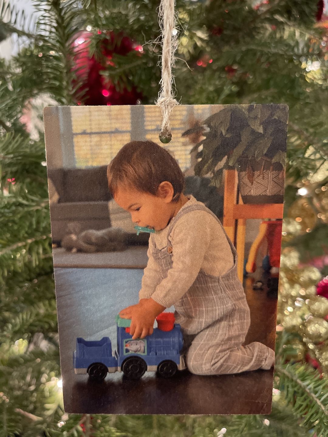 Customer photo review of 5 x 3.5 Wooden Ornament
