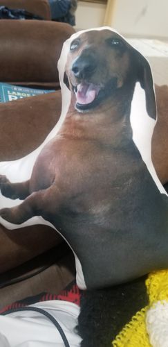 Customer photo review of Create A Custom Dog Pillow