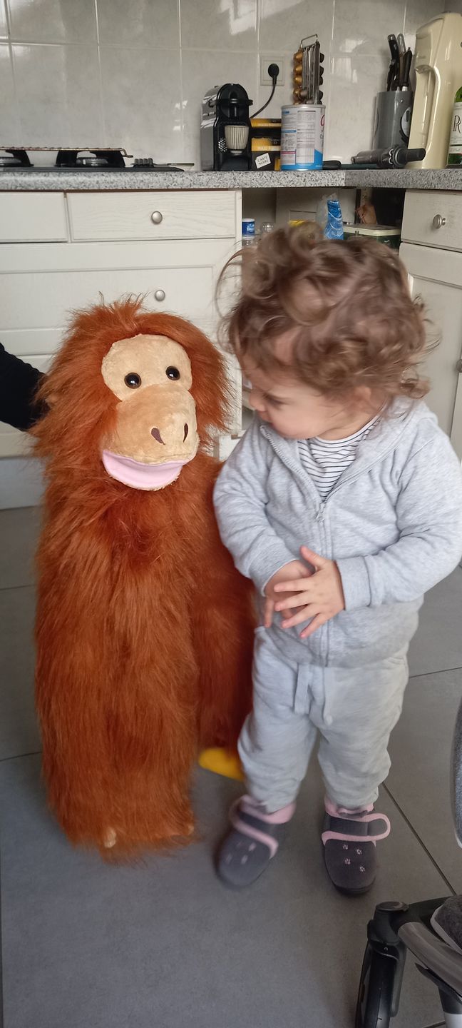 Customer photo review of Orang-outan Marionnette