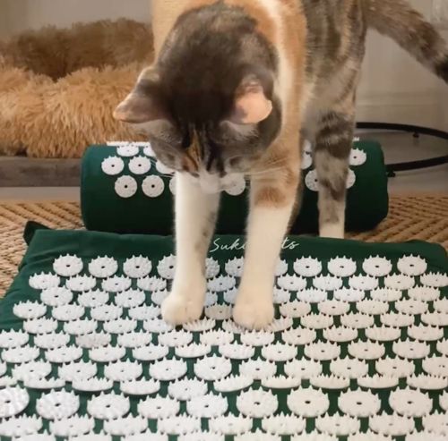 Customer photo review of Suki Mat™ + Pillow