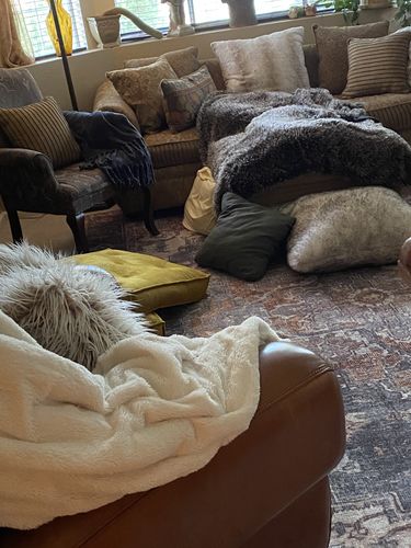 Customer photo review of Distressed Vintage Cezanne Rabbit Gray Inca Gold Area Rug