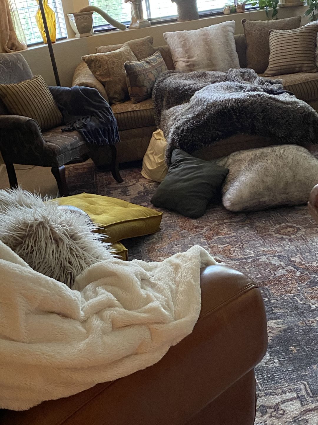 Customer photo review of Distressed Vintage Cezanne Rabbit Gray Inca Gold Area Rug