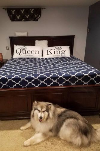 Customer photo review of Elastic Bedsheet, King Size