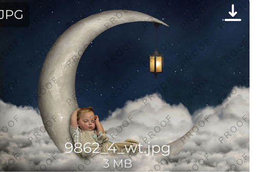 Customer photo review of Dino Forest