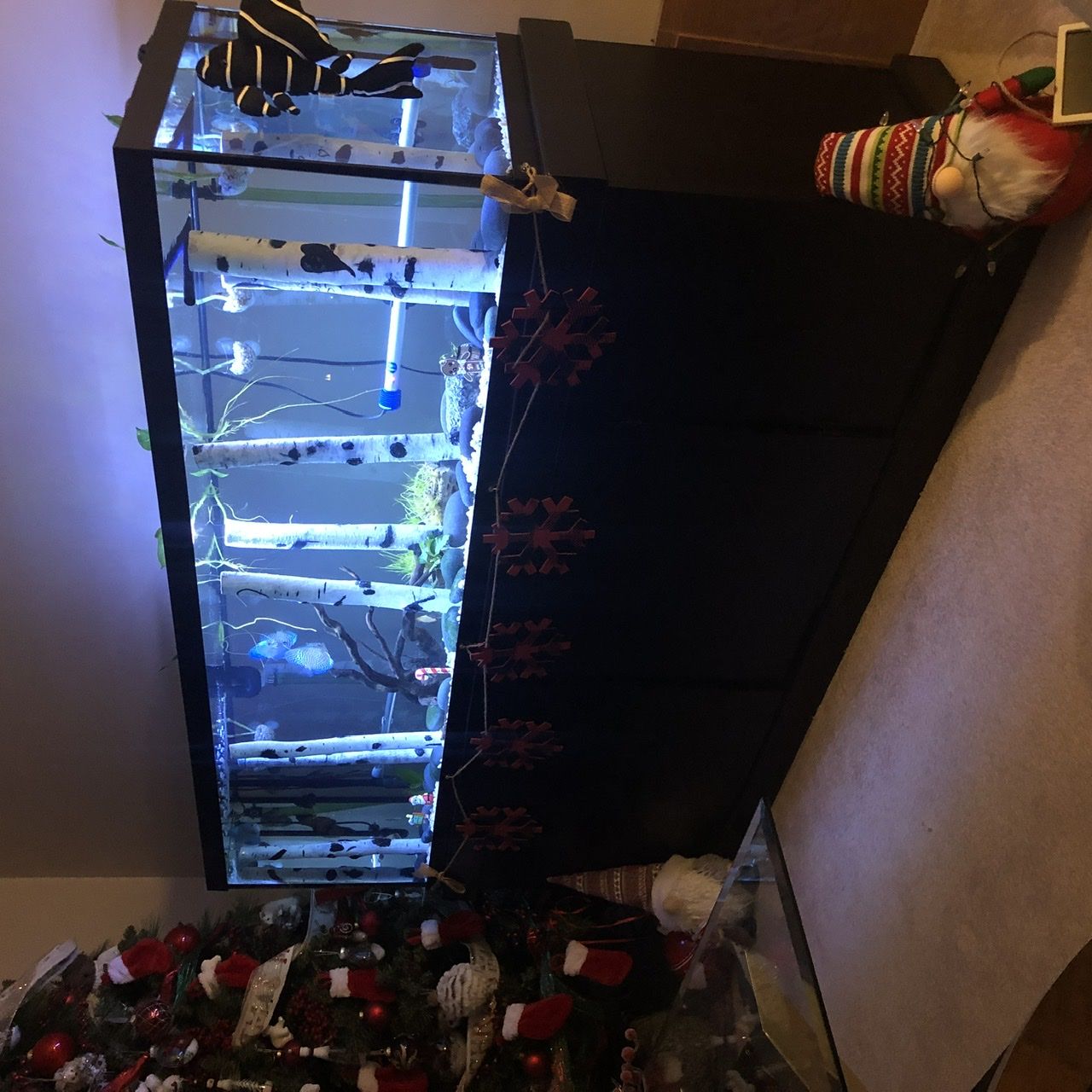 Customer photo review of Seachem Purigen