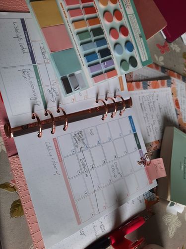 Customer photo review of Pink Crocodile - Dated Weekly 2022 Diary