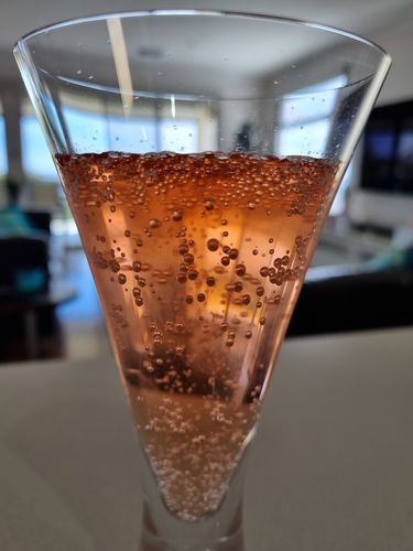 Customer photo review of Sparkling Tempranillo Rosé | 6 Pack