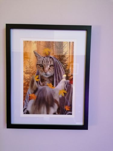 Customer photo review of The Elven Lady Lord of the Rings Inspired - Custom Pet Portrait