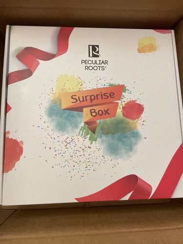 Customer photo review of HOLIDAY LOCS BOX