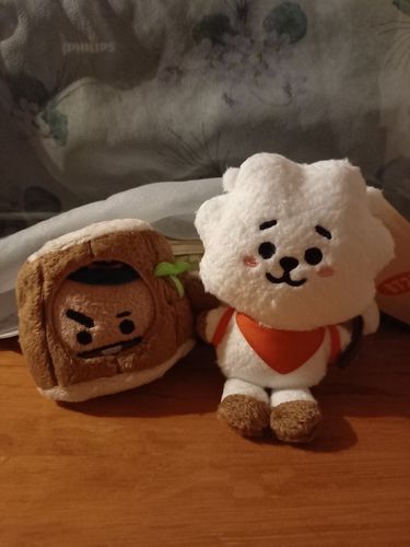 Customer photo review of [Official] BT21 THE GREEN PLANET SERIES BAG CHARM