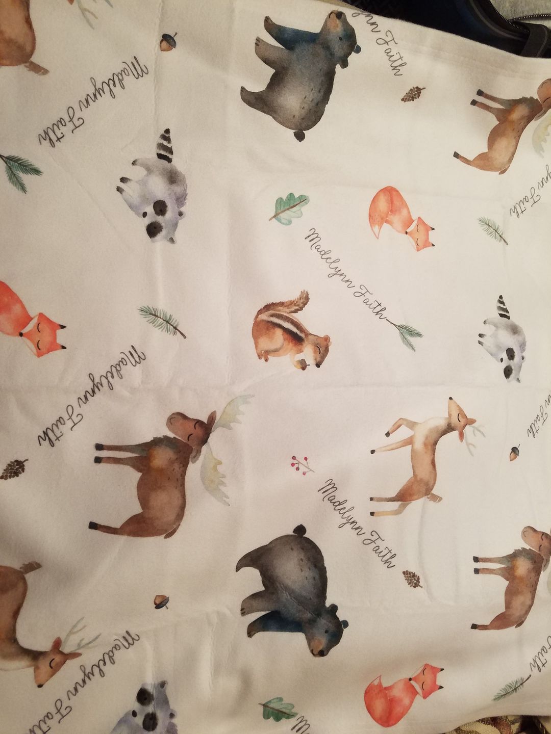 Customer photo review of Woodland Animals Personalized Baby Blanket