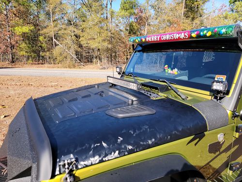 Customer photo review of Christmas Lights