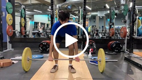 Customer video review of Ursus [LT]