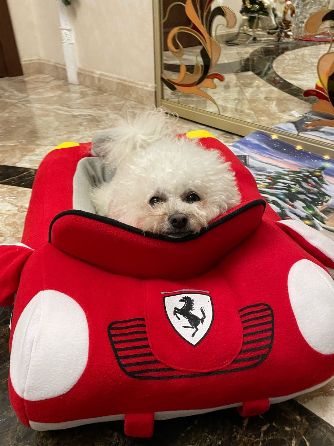 Customer photo review of Furcedes Sports Car Bed