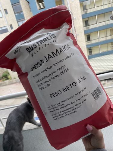 Customer photo review of Rosa Jamaica / Hibisco