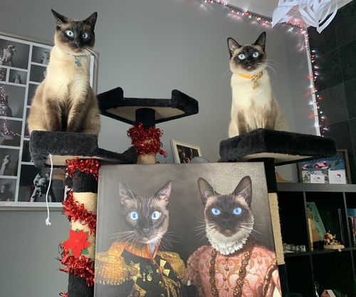 Customer photo review of The General & The Duchess – Custom Vintage Pet Canvas