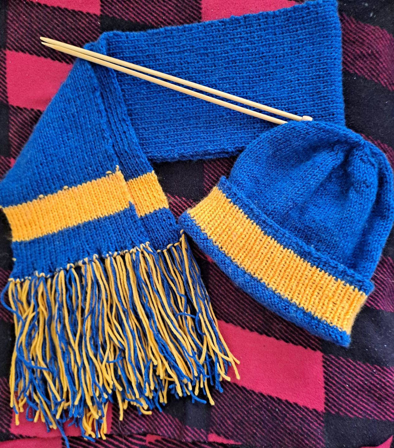 Customer photo review of Cascade 220 Superwash Wool Knitting Yarn