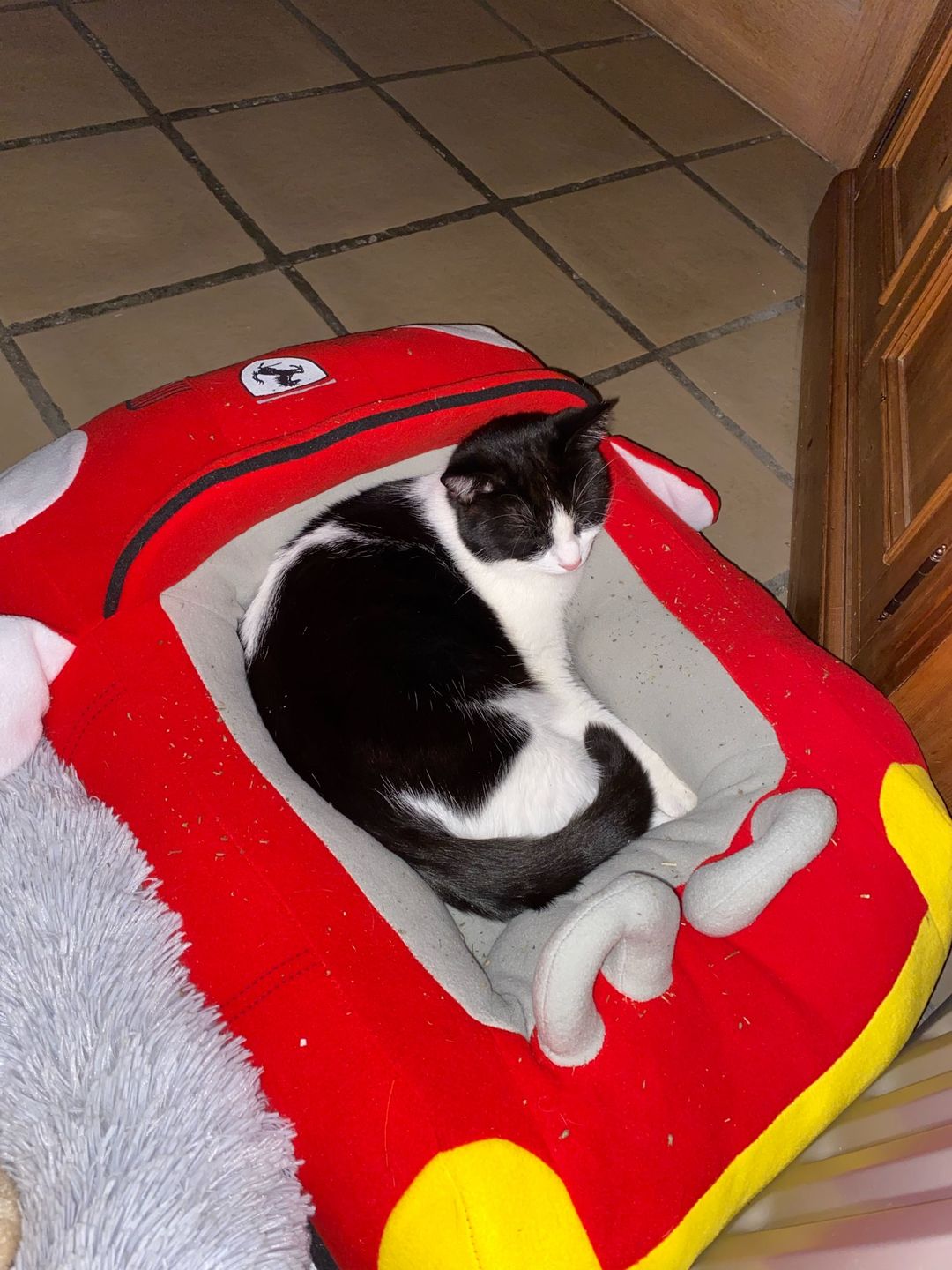 Customer photo review of Furcedes Sports Car Bed