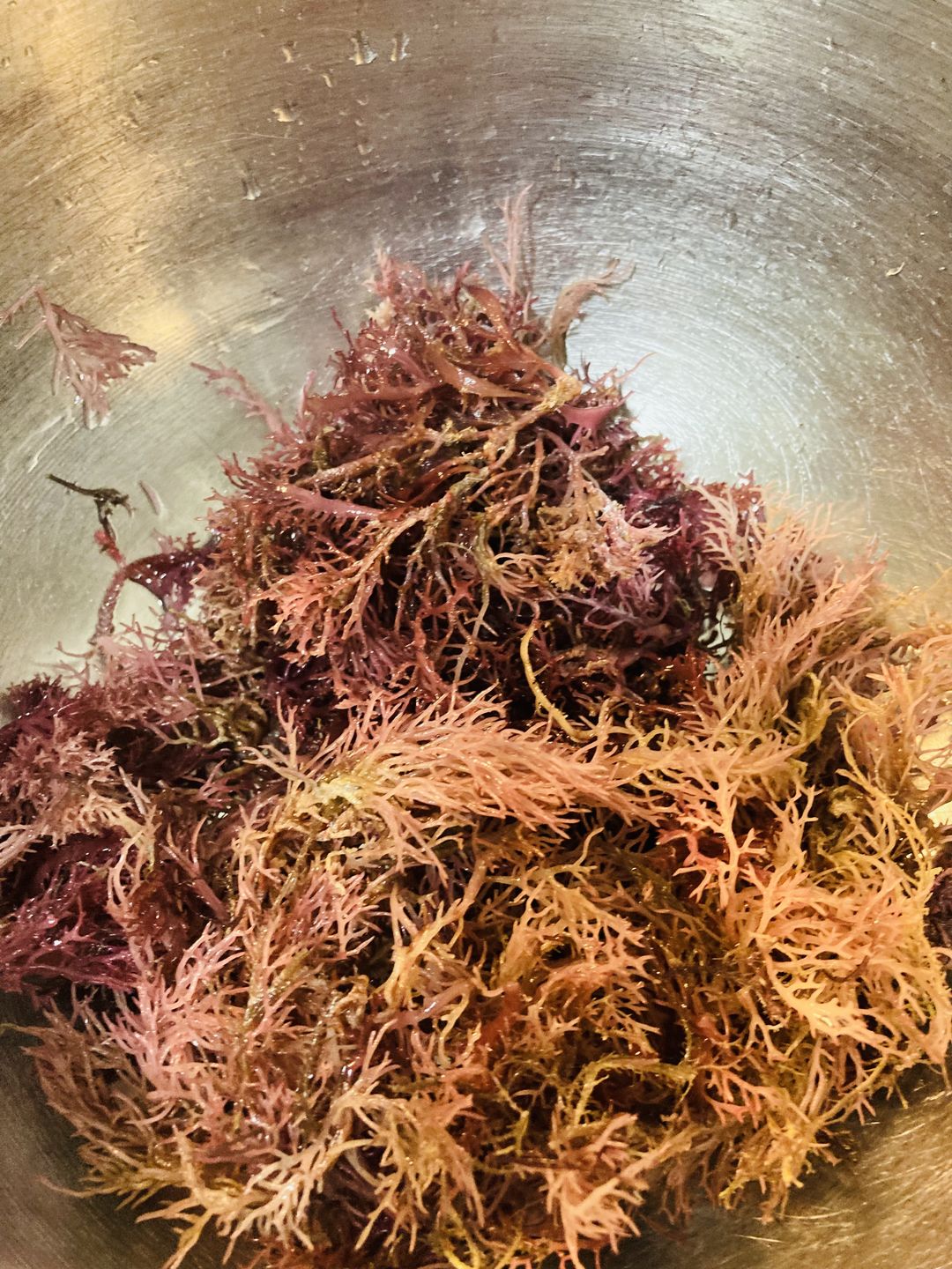 Customer photo review of Jamaican Purple Gold Irish Sea Moss (Raw, Wildcrafted)