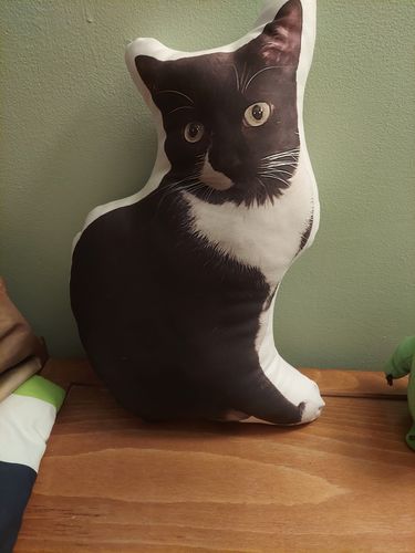 Customer photo review of Create A Custom Cat Pillow