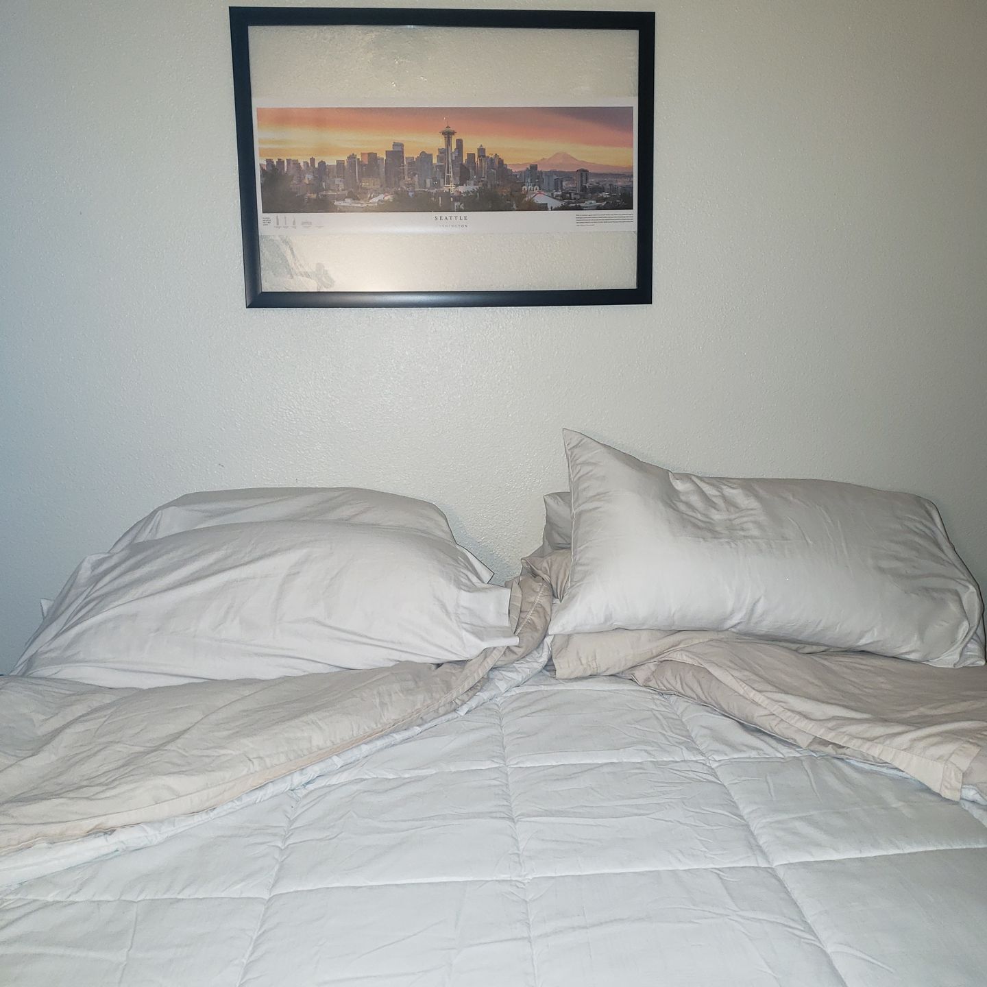 Customer photo review of Seattle Skyline Panoramic Print From Kerry Park