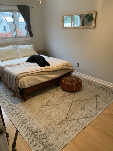 Customer photo review of Wild Congo Natural Beige Rug