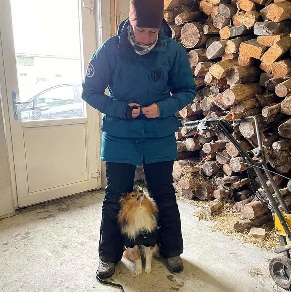 Customer photo review of DogCoach Gavekort