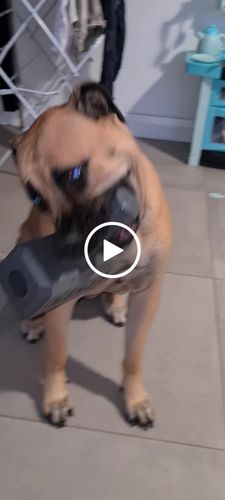 Customer video review of The Fenrir Hammer