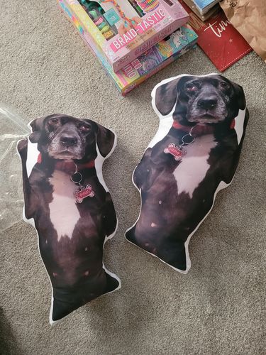 Customer photo review of Create A Custom Dog Pillow
