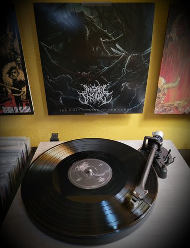 Customer photo review of Insect Inside - The First Shining of New Genus (Vinyl)
