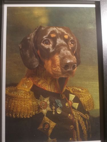 Customer photo review of The General - Custom Vintage Pet Portrait