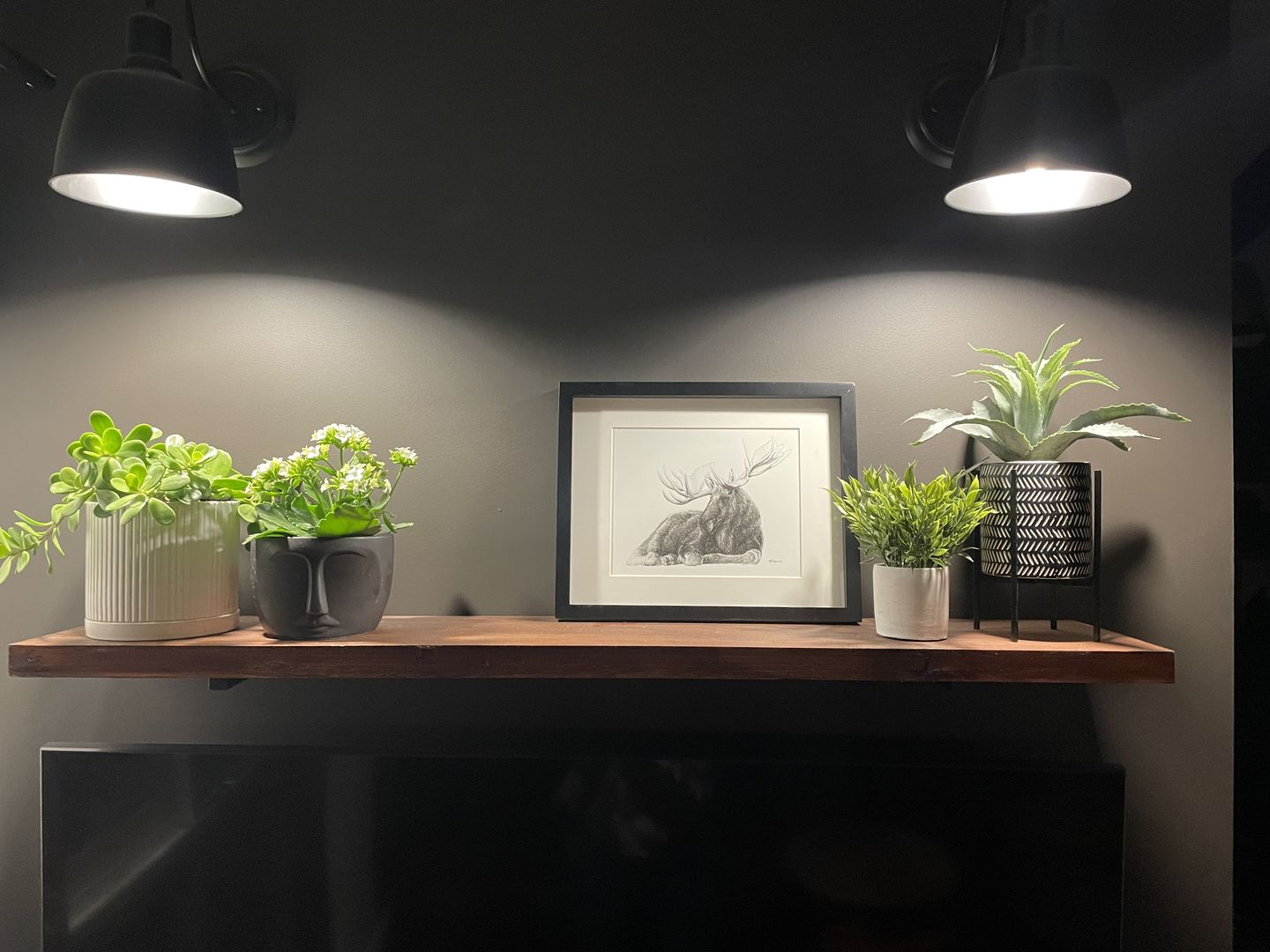 Customer photo review of Majestic Moose