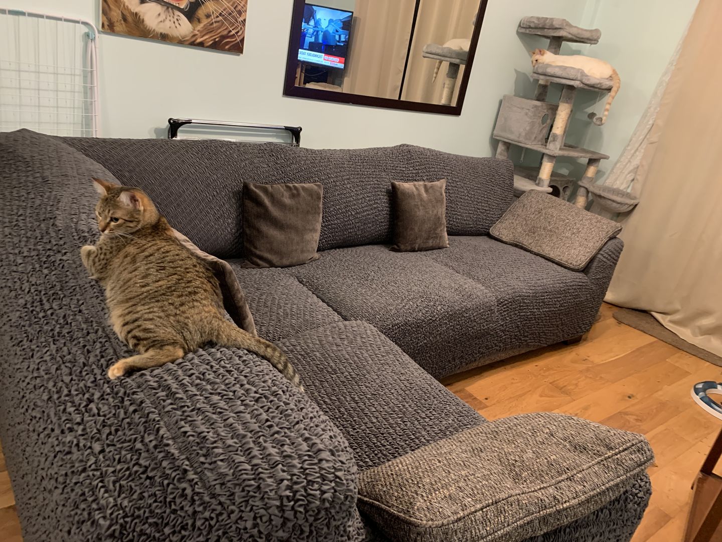 Customer photo review of Corner Sofa Cover - Charcoal  Microfibra