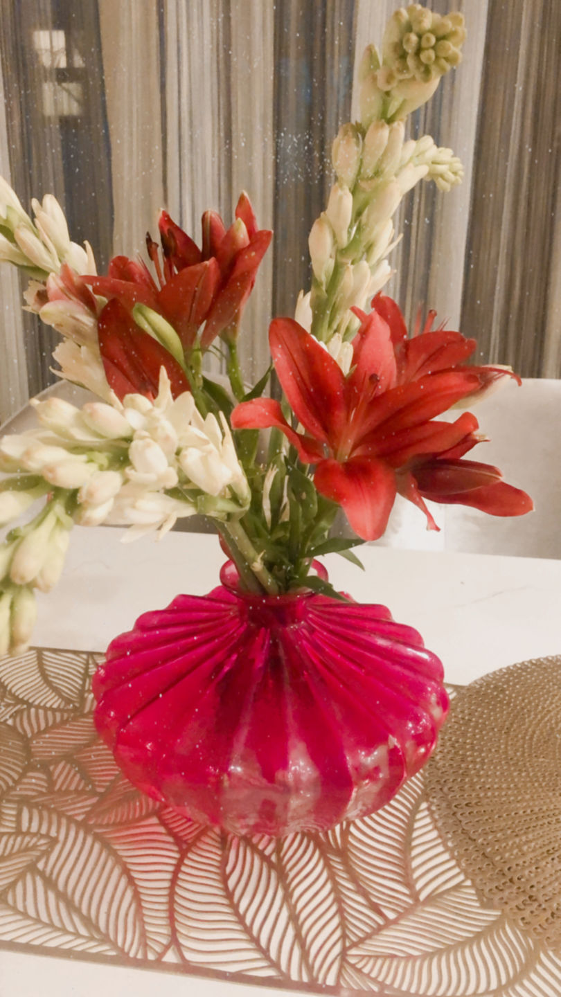 Customer photo review of Asiatic Lily