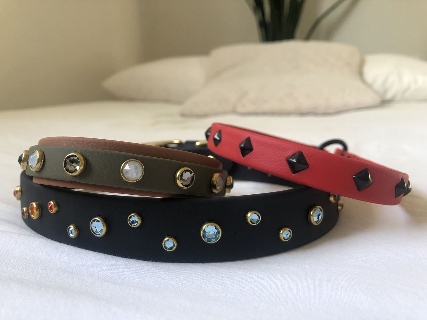 Customer photo review of The 'Bijou' Buckle Collar