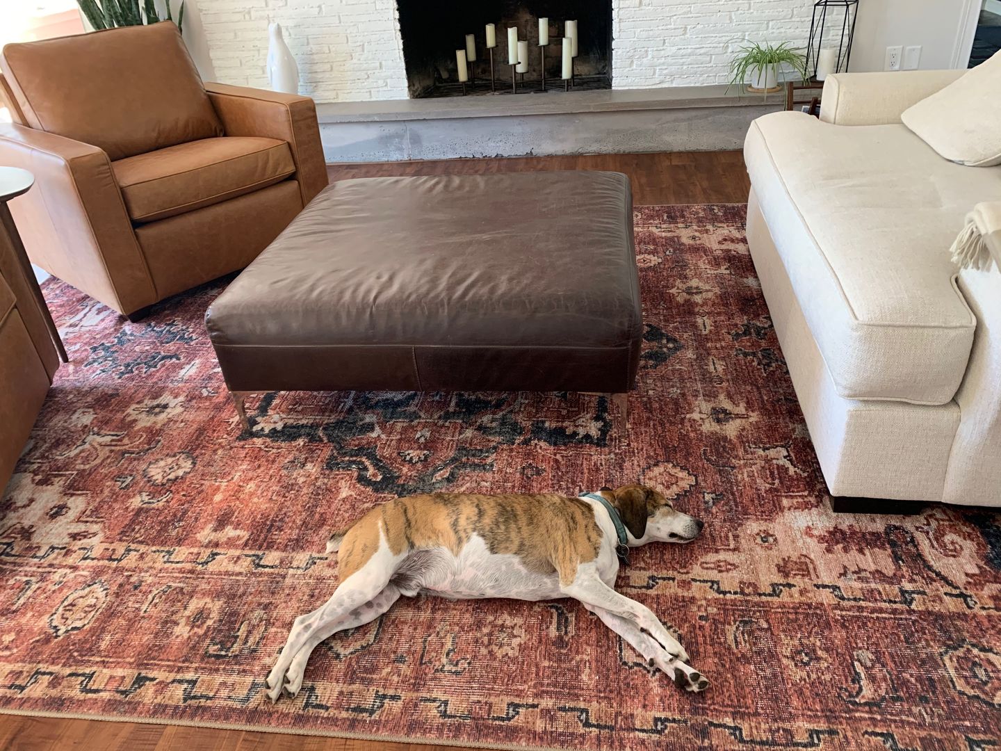 Customer photo review of Distressed Vintage Cezanne Terracotta Area Rug