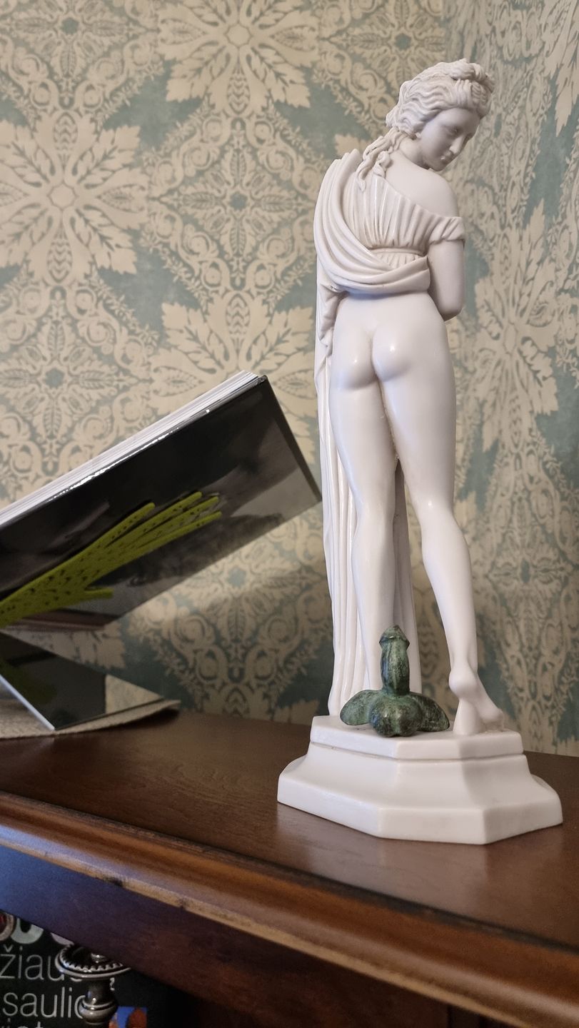 Customer photo review of Venere Callipigia Afrodite in marmo - Statua 38 cm