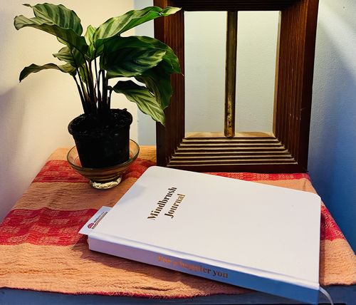 Customer photo review of MindBrush Journal