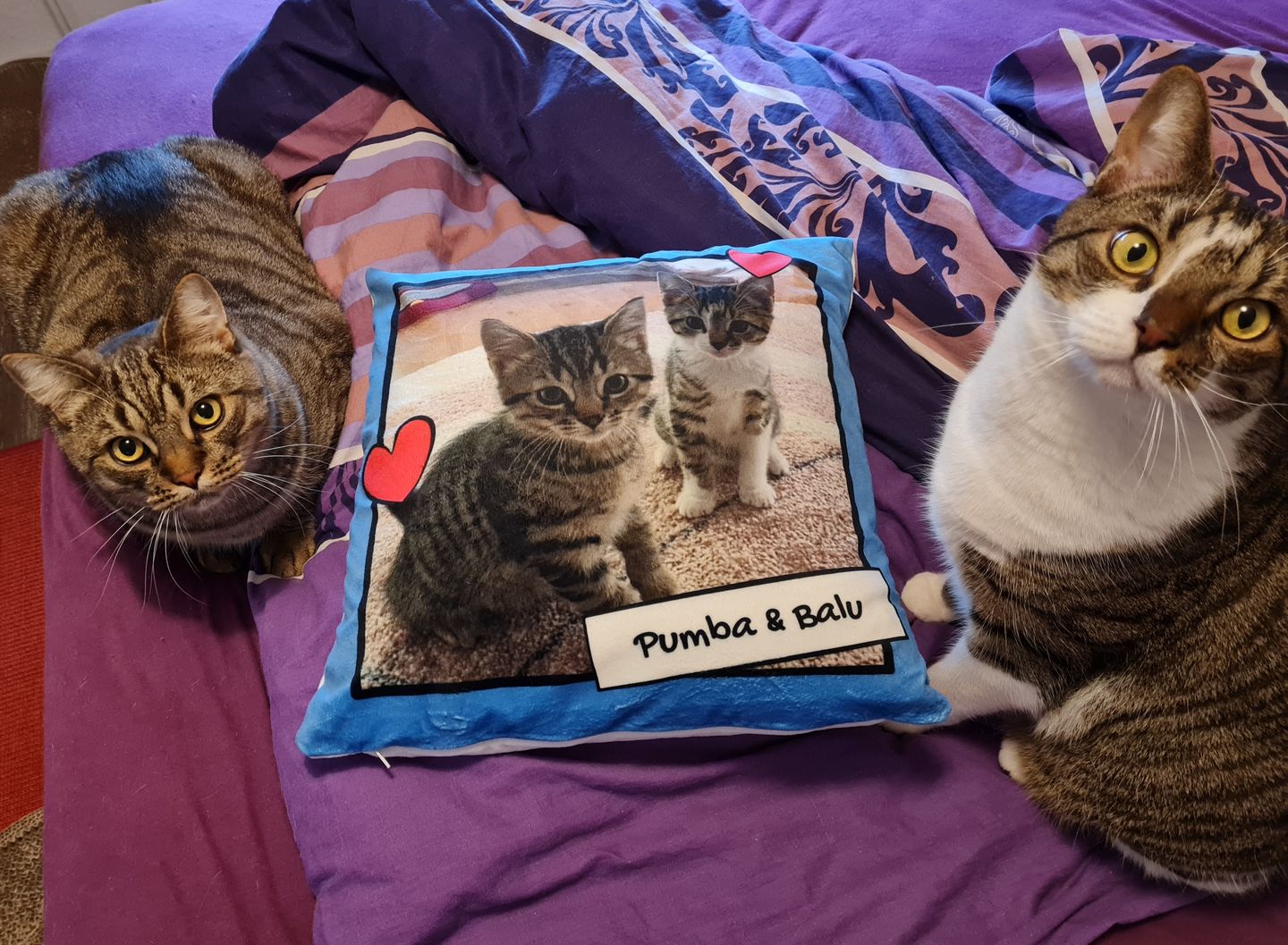 Customer photo review of Fotokissen mit Herzchen - Individuelles Kissen