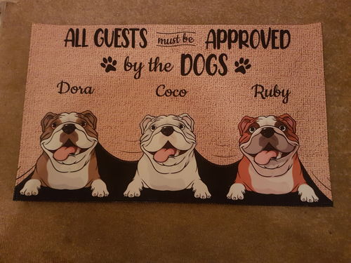 Customer photo review of No Need To Knock Custom Doormat