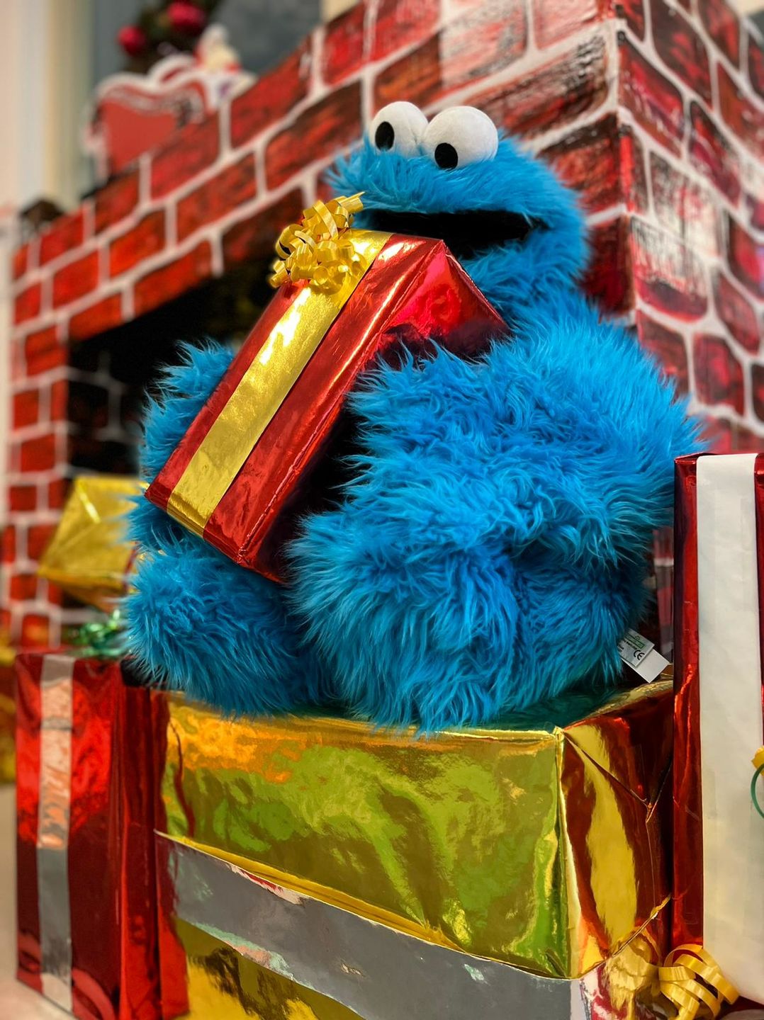 Customer photo review of Cookie Monster Marionnette Sesame Street