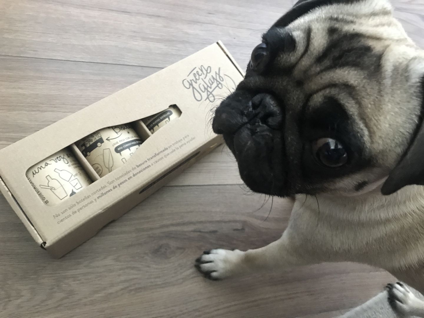 Customer photo review of Brindemos por EllosJuego de 4 Vasos