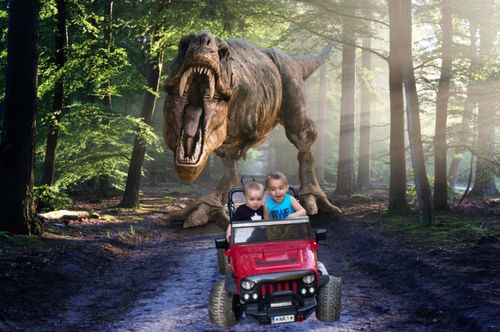 Customer photo review of Dino Forest